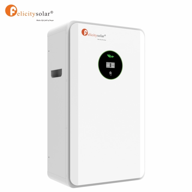 FLA48250 Factory 12.5Kwh Battery energy storage system lifepo4 battery Deep Cycle Rechargeable Solar System Energy Storage